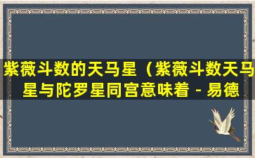 紫薇斗数的天马星（紫薇斗数天马星与陀罗星同宫意味着 - 易德居）